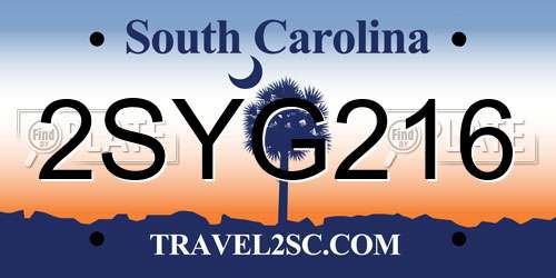 2SYG216 South Carolina License Plate