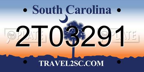 2T03291 South Carolina License Plate