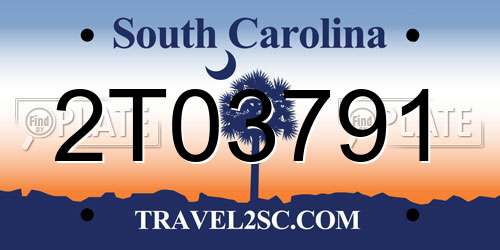 2T03791 South Carolina License Plate