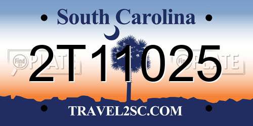 2T11025 South Carolina License Plate