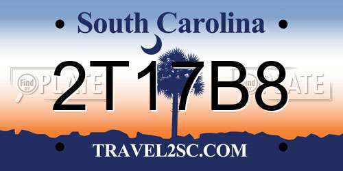 2T17B8 South Carolina License Plate