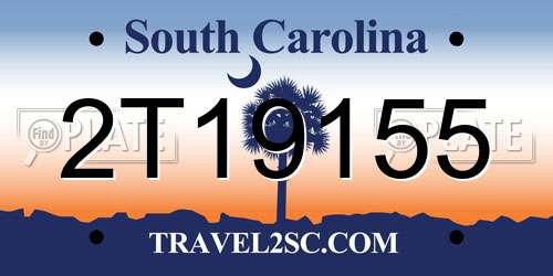 2T19155 South Carolina License Plate