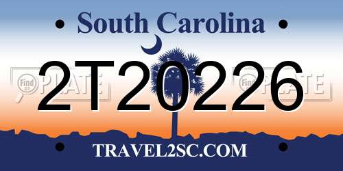 2T20226 South Carolina License Plate