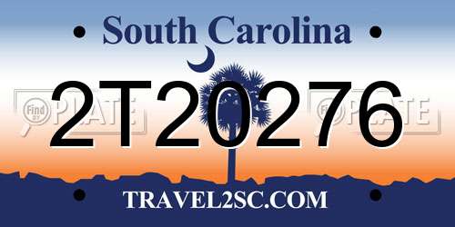 2T20276 South Carolina License Plate