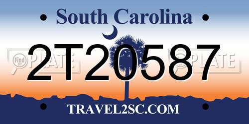 2T20587 South Carolina License Plate