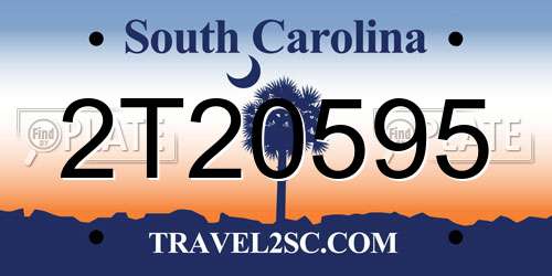 2T20595 South Carolina License Plate
