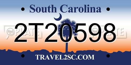 2T20598 South Carolina License Plate