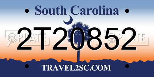 2T20852 South Carolina License Plate
