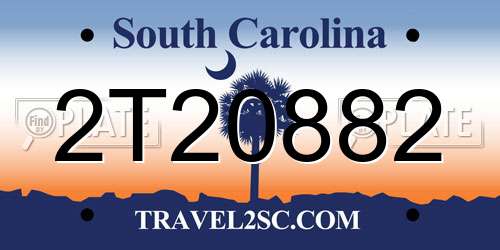 2T20882 South Carolina License Plate