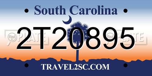 2T20895 South Carolina License Plate