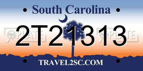 2T21313 South Carolina License Plate
