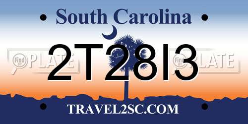 2T28I3 South Carolina License Plate