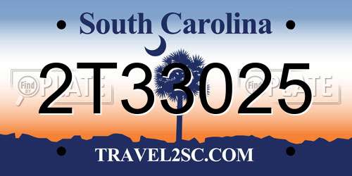 2T33025 South Carolina License Plate