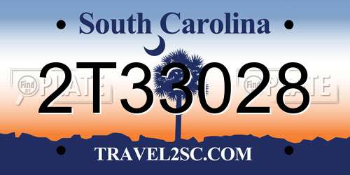 2T33028 South Carolina License Plate