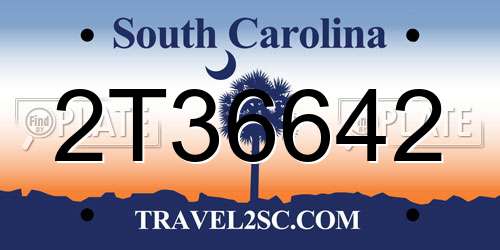 2T36642 South Carolina License Plate