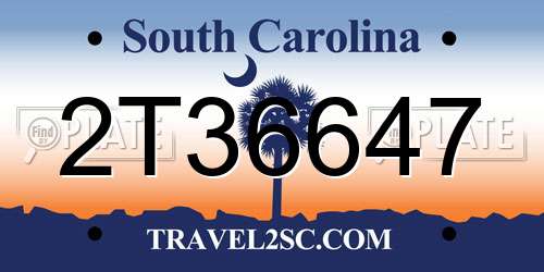2T36647 South Carolina License Plate
