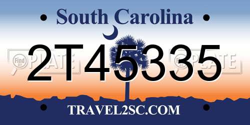 2T45335 South Carolina License Plate