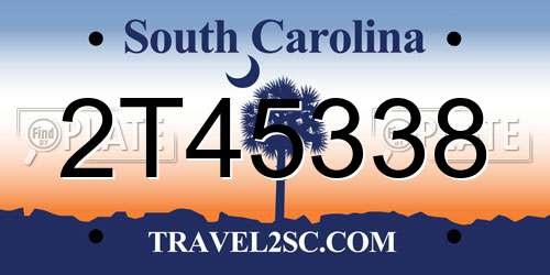 2T45338 South Carolina License Plate