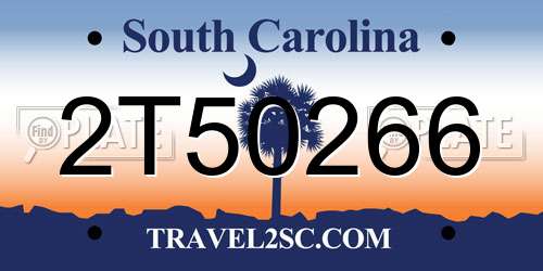 2T50266 South Carolina License Plate