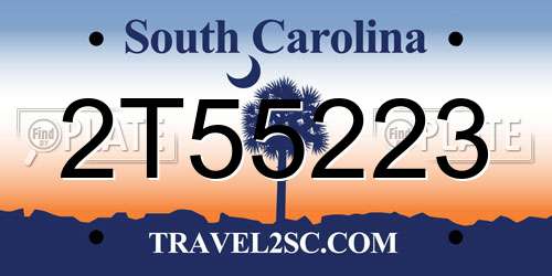 2T55223 South Carolina License Plate
