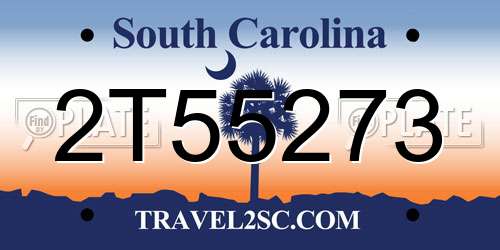 2T55273 South Carolina License Plate