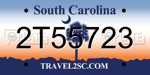2T55723 South Carolina License Plate