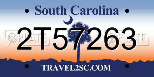 2T57263 South Carolina License Plate