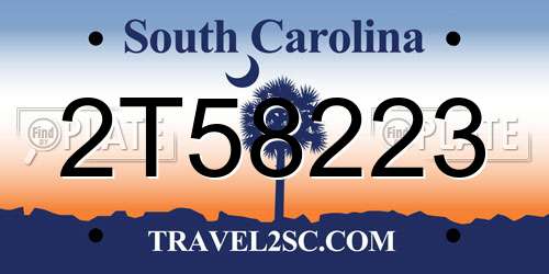 2T58223 South Carolina License Plate