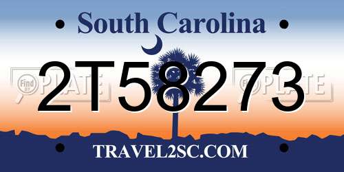 2T58273 South Carolina License Plate