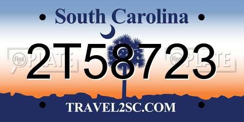 2T58723 South Carolina License Plate