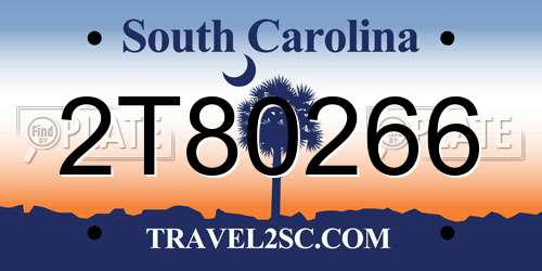2T80266 South Carolina License Plate