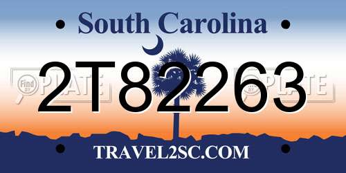 2T82263 South Carolina License Plate