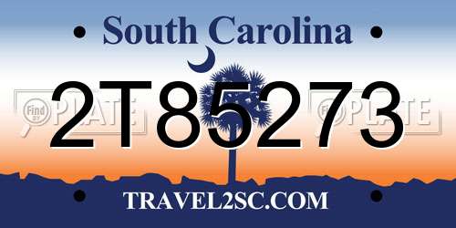 2T85273 South Carolina License Plate
