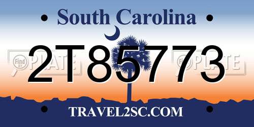 2T85773 South Carolina License Plate