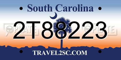2T88223 South Carolina License Plate