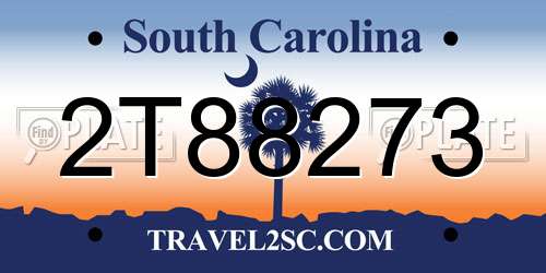 2T88273 South Carolina License Plate
