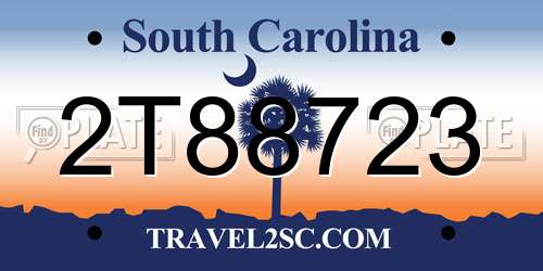 2T88723 South Carolina License Plate