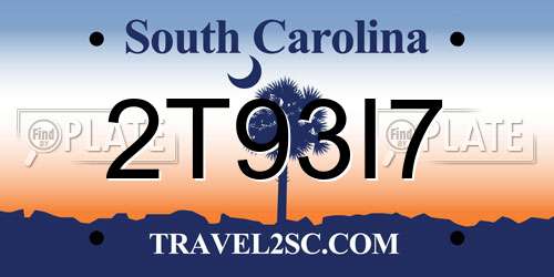 2T93I7 South Carolina License Plate