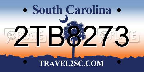 2TB8273 South Carolina License Plate