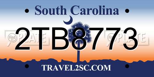 2TB8773 South Carolina License Plate