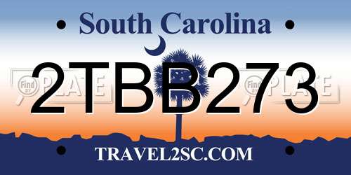 2TBB273 South Carolina License Plate