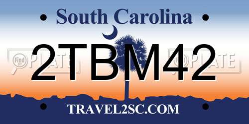 2TBM42 South Carolina License Plate