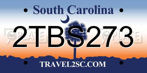 2TBS273 South Carolina License Plate
