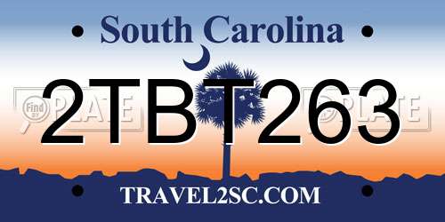 2TBT263 South Carolina License Plate