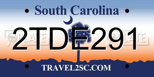 2TDE291 South Carolina License Plate
