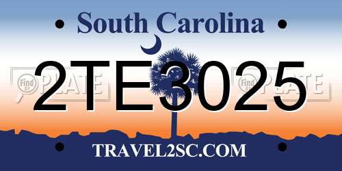 2TE3025 South Carolina License Plate