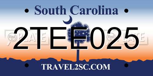 2TEE025 South Carolina License Plate