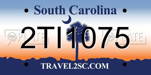 2TI1075 South Carolina License Plate