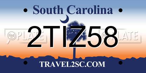 2TIZ58 South Carolina License Plate