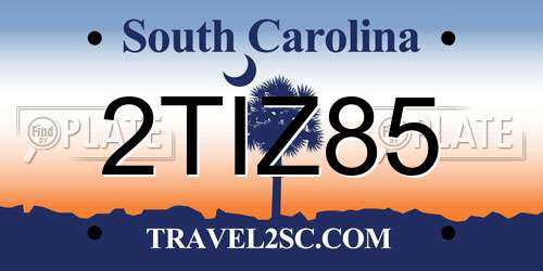 2TIZ85 South Carolina License Plate